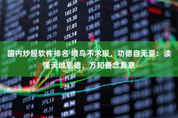国内炒股软件排名 喂鸟不求报，功德自无量：读懂天地恩德，方知善念真意